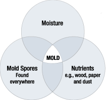 mold_chart